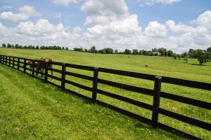 Prospect is a historic community in Louisville and Oldham County, Kentucky